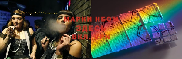 индика Мурманск