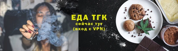 индика Мурманск