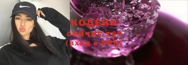индика Мурманск