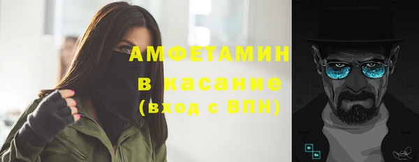 индика Мурманск