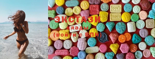индика Мурманск