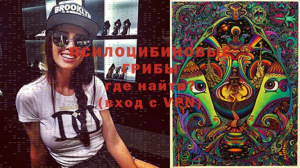индика Мурманск