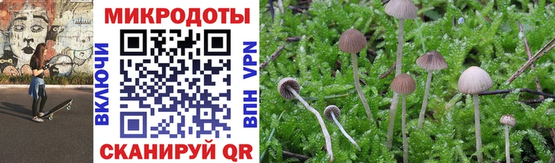 Галлюциногенные грибы мицелий KRAKEN как зайти Павлово цена наркотик